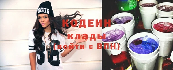 крисы Пересвет