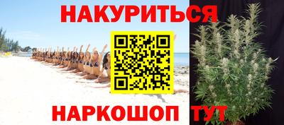 спиды Славгород