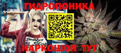 спиды Славгород