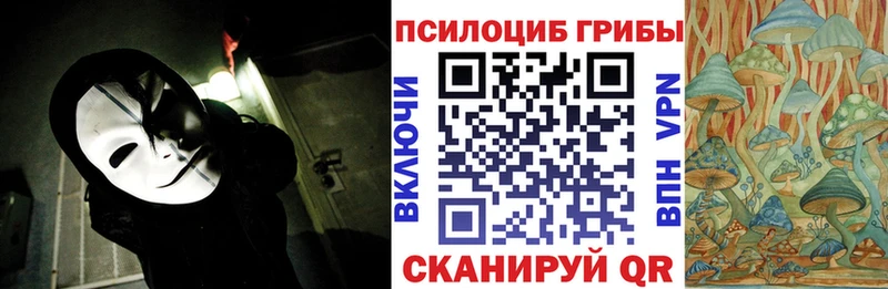 МЕГА ТОР  сколько стоит  Старая Купавна  Галлюциногенные грибы Psilocybine cubensis 