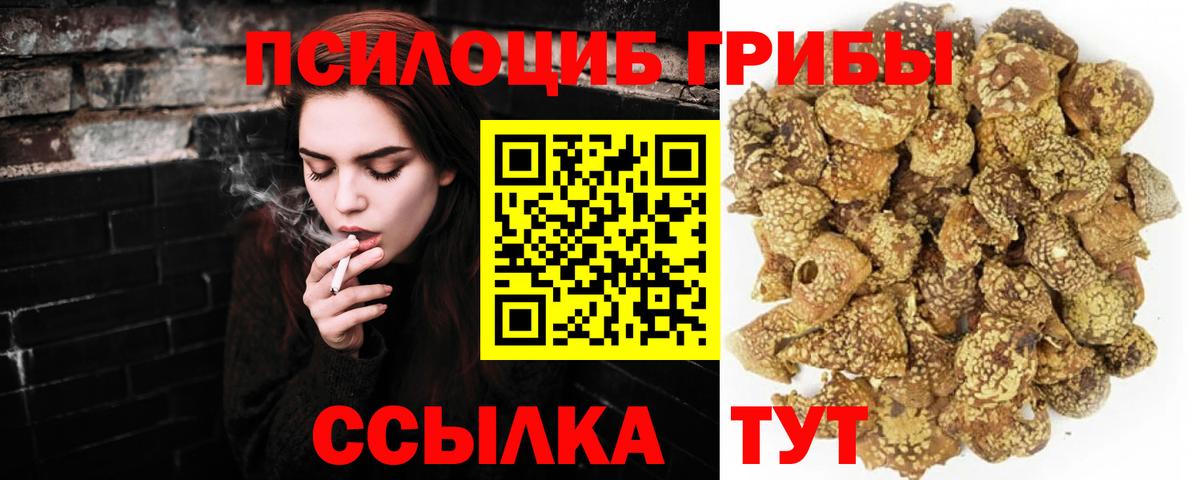 Псилоцибиновые грибы Psilocybine cubensis  Псилоцибиновые грибы Psilocybine cubensis  Старая Купавна  Вход с VPN 
